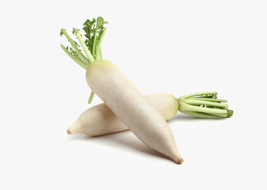 Turnip - Radish Png, Transparent Png, Free Download