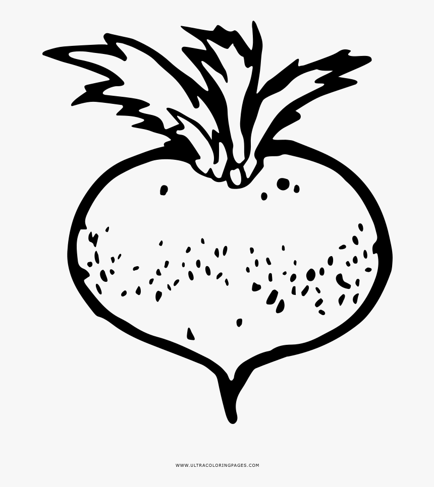 Turnip Coloring Page - Line Art, HD Png Download, Free Download