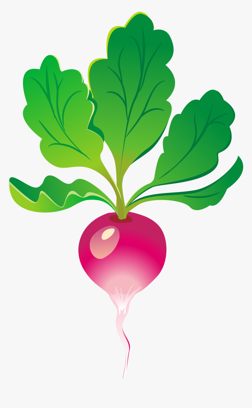 Vegetables, HD Png Download, Free Download