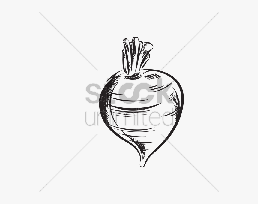 Drawing Vegetable Hand, HD Png Download, Free Download