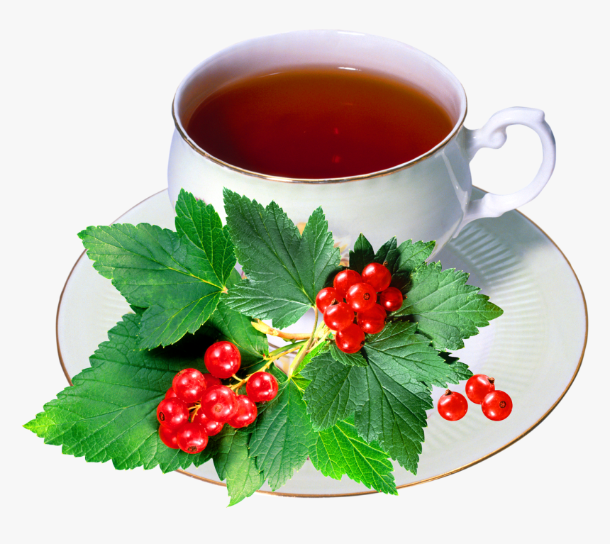 Harbal Tea With Cup - Redcurrant, HD Png Download, Free Download
