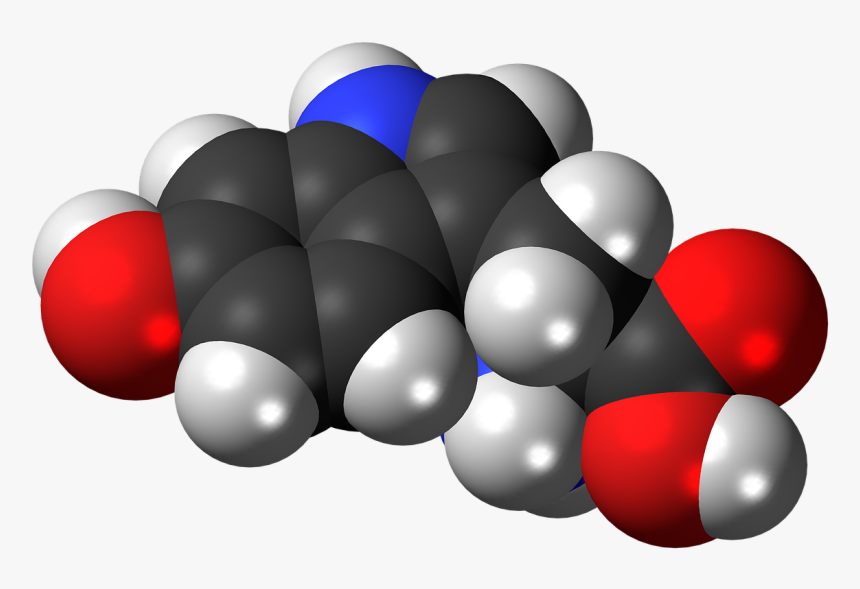 Tryptophan Space Filling Model, HD Png Download, Free Download