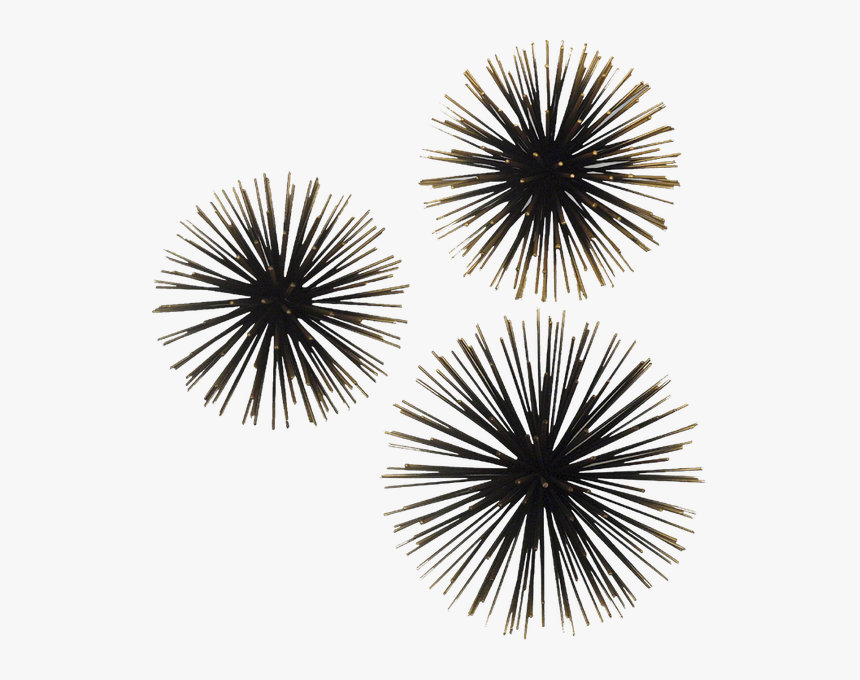 Sea Urchin Stencil, HD Png Download, Free Download