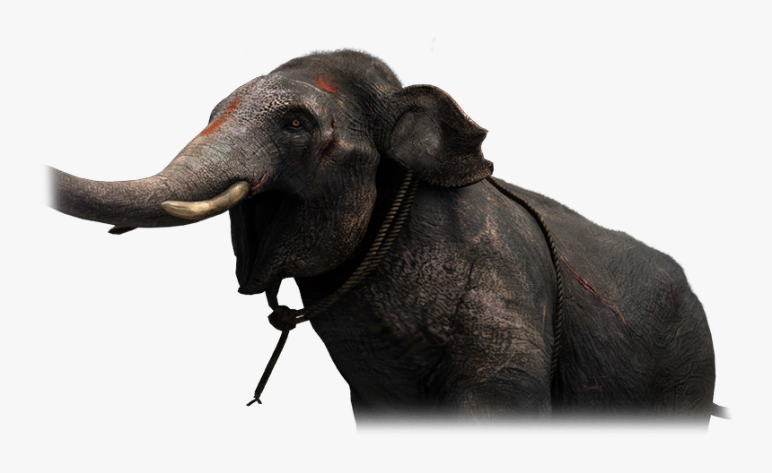 Far Cry Wiki - Water Buffalo, HD Png Download, Free Download