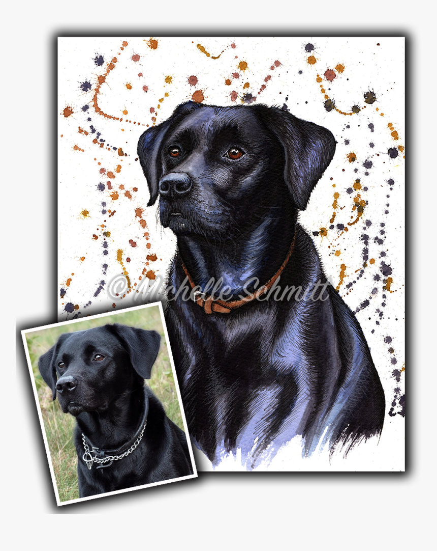 Transparent Black Lab Png - Labrador Retriever, Png Download, Free Download