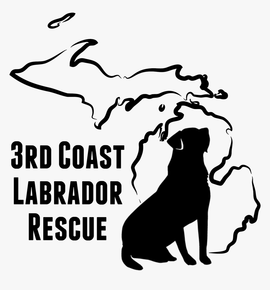 3rd Coast Labrador Rescue - Dental Clinics North, HD Png Download, Free Download