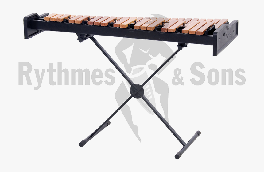 Rythmes & Sons Student Xylophone With Adjustable Stand3 - Tito Puente Brass Timbales, HD Png Download, Free Download