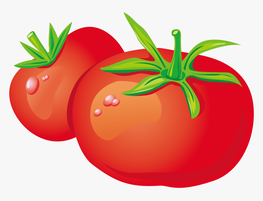 Bush Clipart Vegetable Plant - Cartoon Tomato Clipart Png, Transparent Png, Free Download