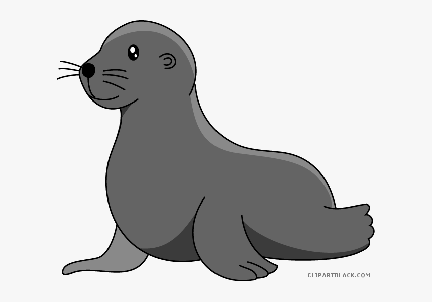 Baby Sea Lion Clip Art Sea Lion Swims - Sea Lion Clipart, HD Png Download, Free Download