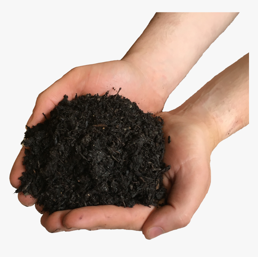 Soil In Hands Png - Soil In Hand Png, Transparent Png, Free Download