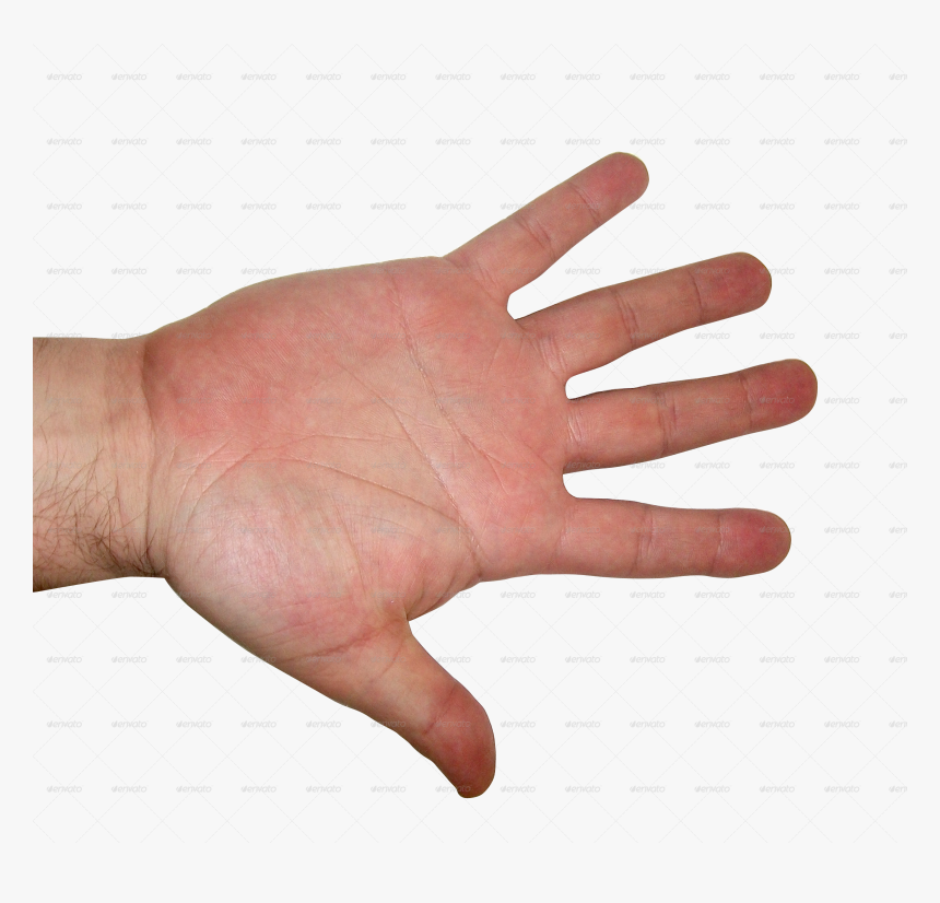 Human Hand Textures - Transparent Male Hand Png, Png Download, Free Download