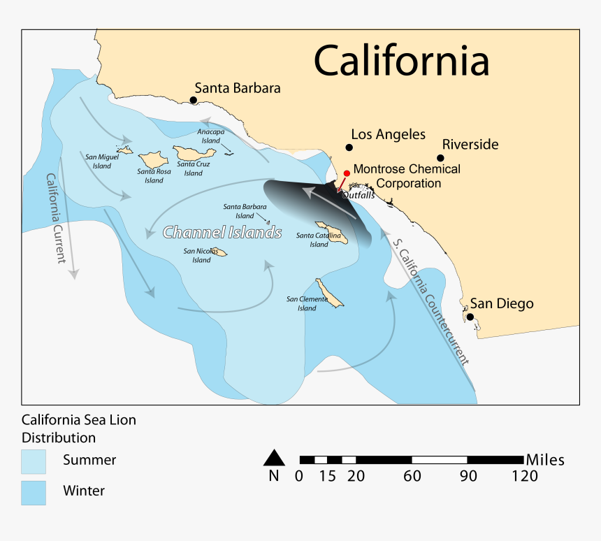 California Sea Lion Distribution - California Sea Lions Habitat Map, HD Png Download, Free Download