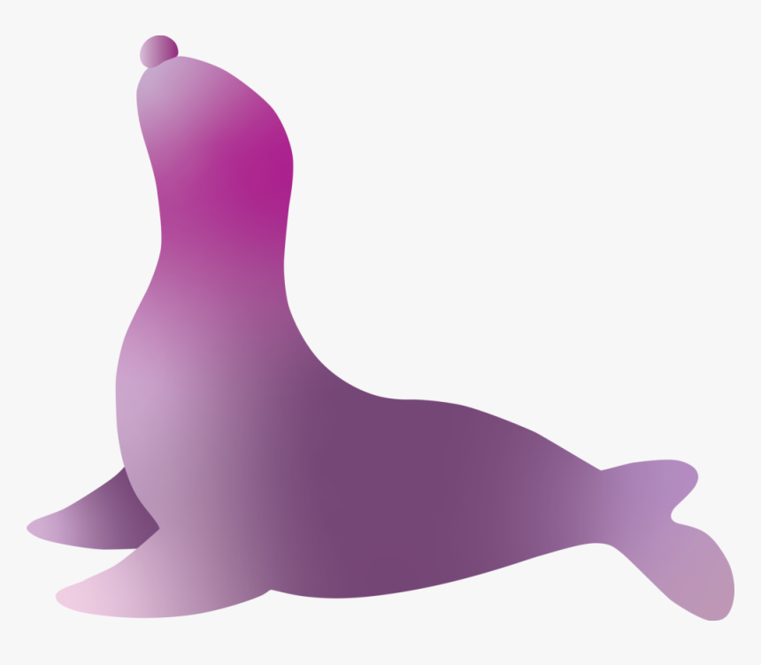 Sea Lion - California Sea Lion, HD Png Download, Free Download