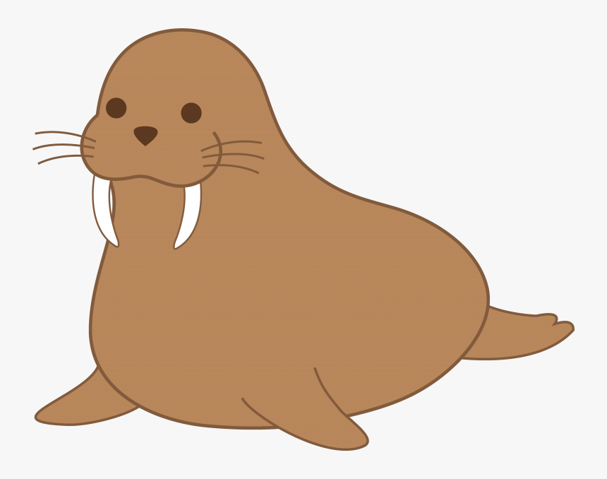 Walrus Clipart, HD Png Download, Free Download