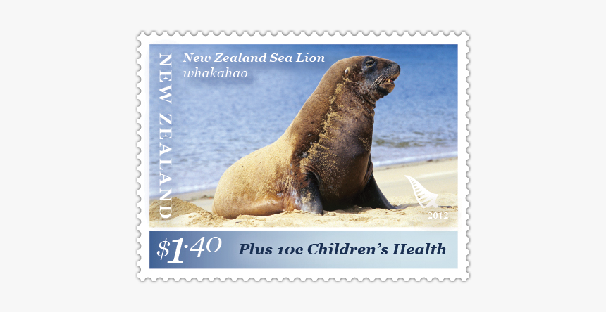 Steller Sea Lion, HD Png Download, Free Download