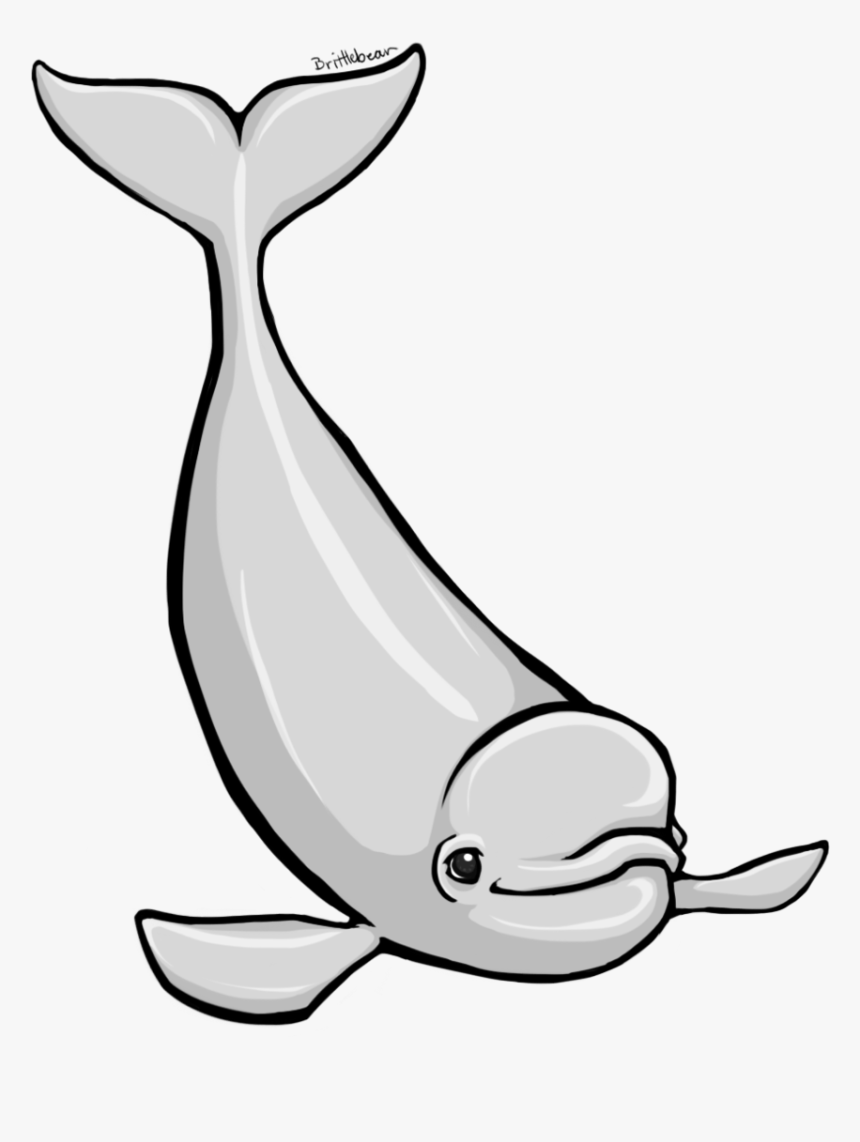Beluga Whale Clipart - Beluga Whale Clip Art, HD Png Download, Free Download