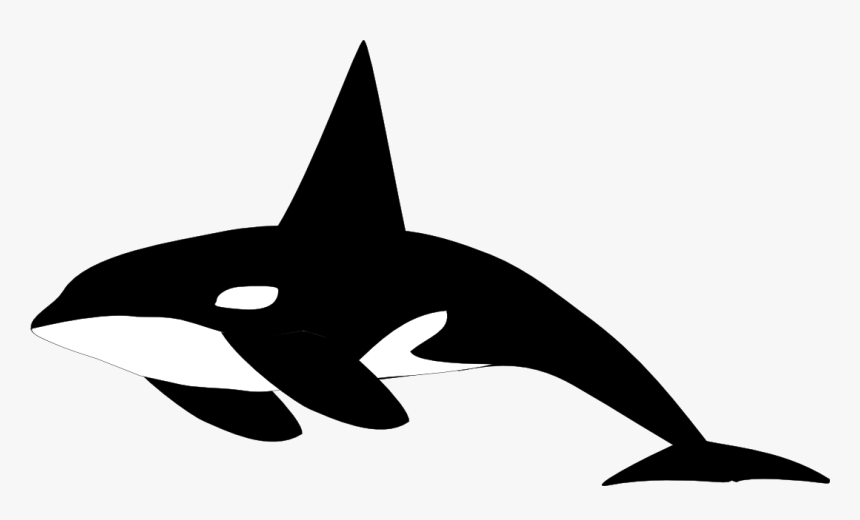 Killer Whale Shamu Clip Art - Orca Whale Black And White, HD Png Download, Free Download