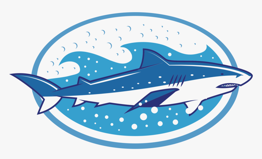 Blue Whale,electric Blue,fish, HD Png Download, Free Download