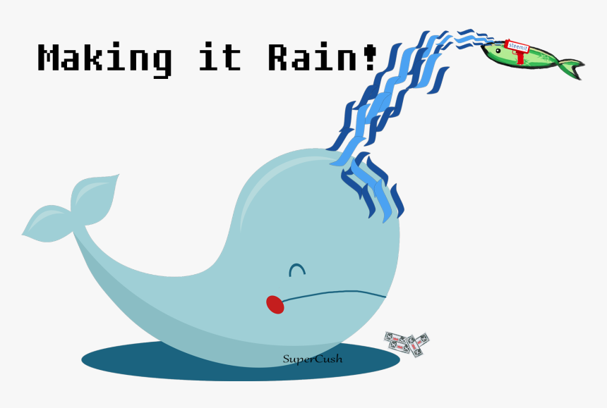 Transparent Whale Clipart - Whale Clipart No Background, HD Png Download, Free Download