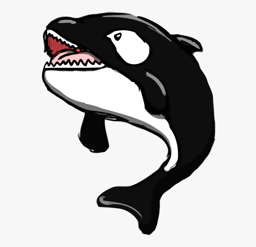 Dolphin Cetacea Drawing Cartoon Killer Whale - Killer Whale Clipart Mouth Open, HD Png Download, Free Download