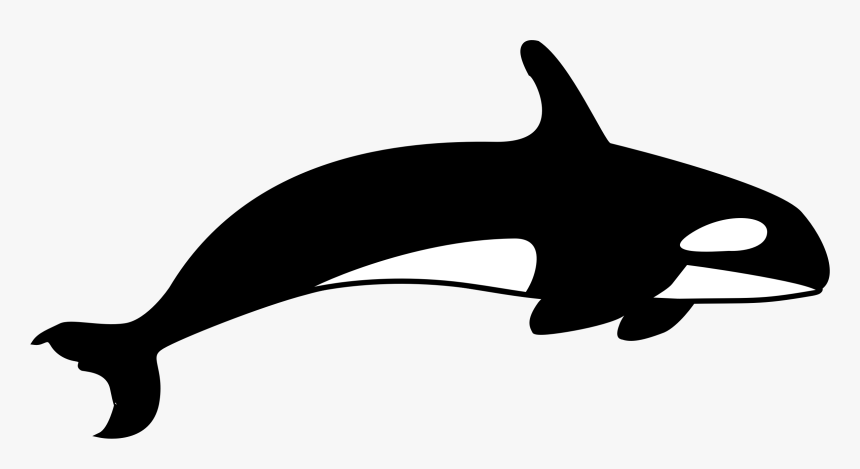 Blue Whale Clipart Tail - Killer Whale Clipart Black And White, HD Png Download, Free Download