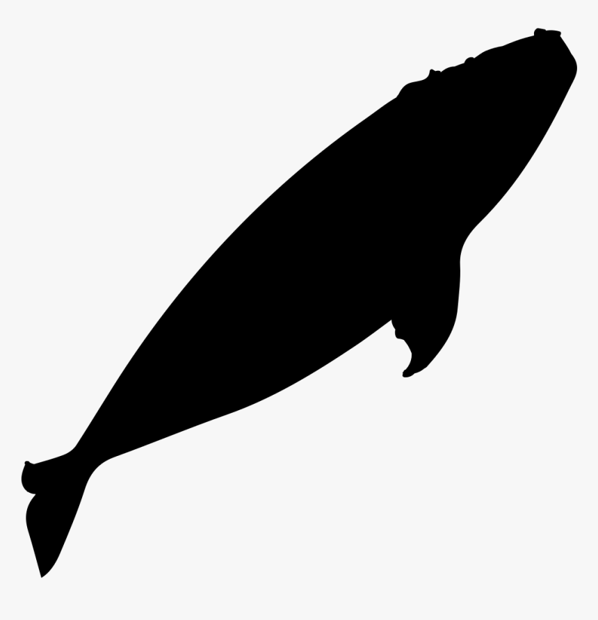 Southern Right Whale Whale Watching Silhouette - Right Whale Silhouette, HD Png Download, Free Download