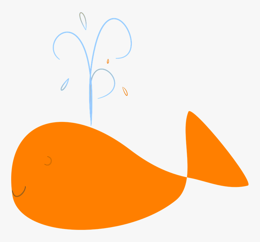 Whale, Happy, Splash, Orange, Water, Smile - Water Fountain Cartoon, HD Png Download, Free Download