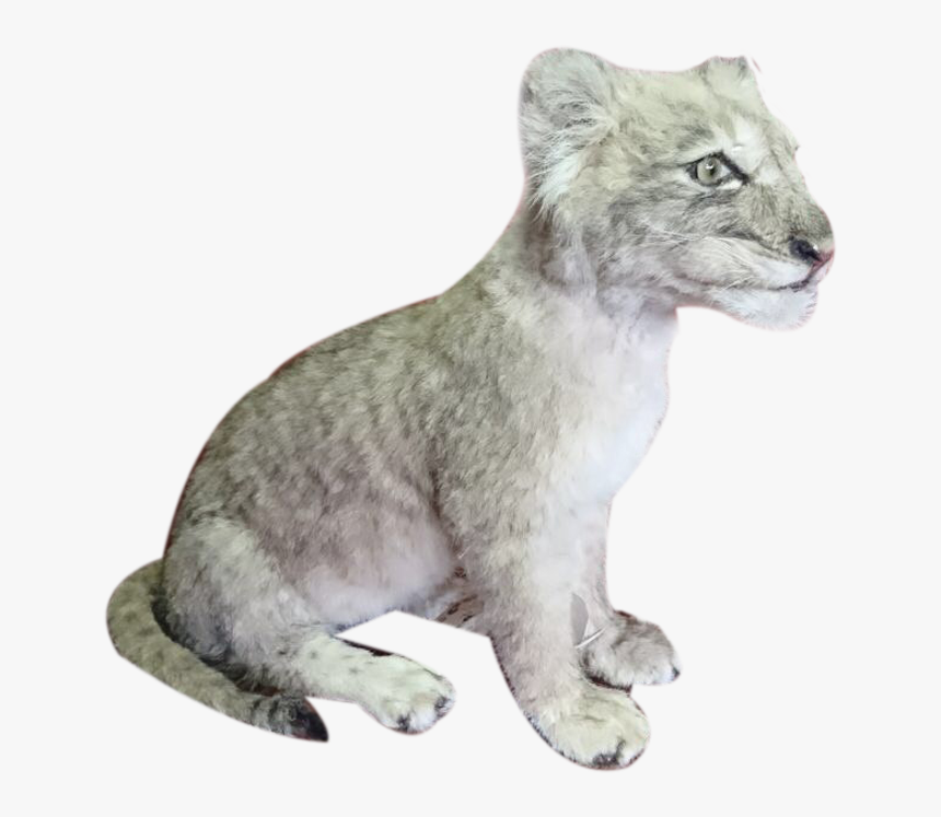 Snow Leopard, HD Png Download, Free Download