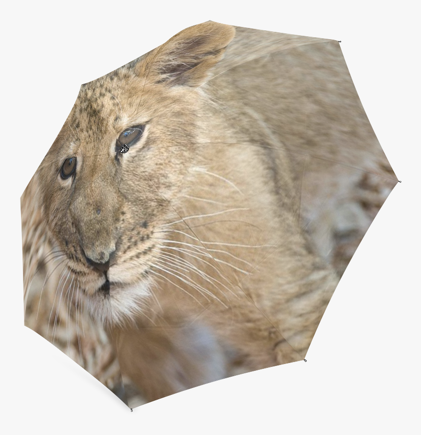 Baby Lion Foldable Umbrella, HD Png Download, Free Download