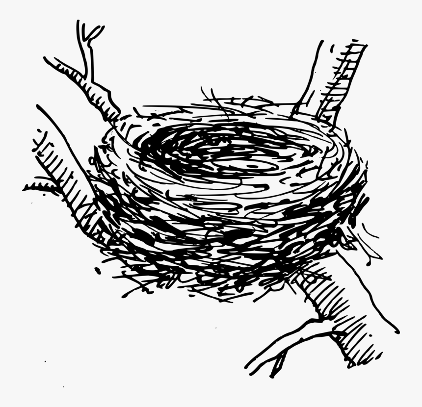 Nest Clipart Drawn Bird - Clip Art Bird Nest, HD Png Download - kindpng