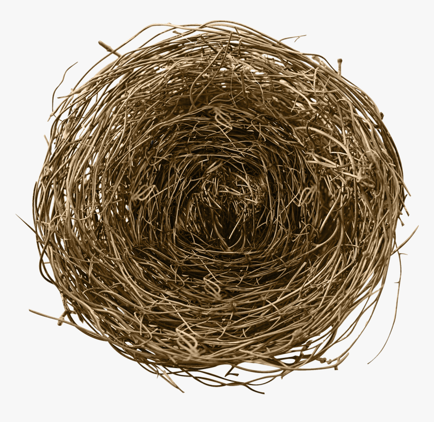 Transparent Png Bird Nest Png, Png Download, Free Download