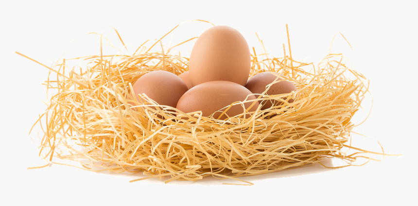Egg,egg,nest,bird Nest,food,easter Egg - Eggs Nest Png, Transparent Png, Free Download
