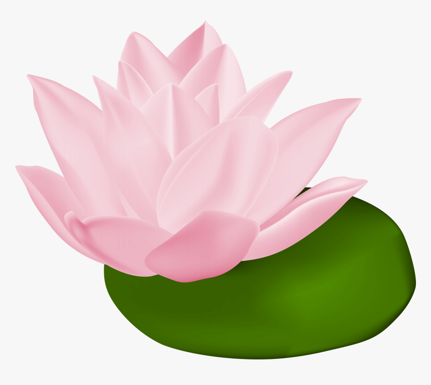 Transparent Lilypad Png - Transparent Lily Pad Clip Art, Png Download, Free Download