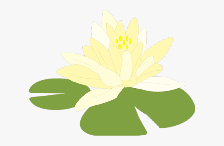 Lily Pad Clipart Lilipad - Lily Pad Transparent Background, HD Png Download, Free Download