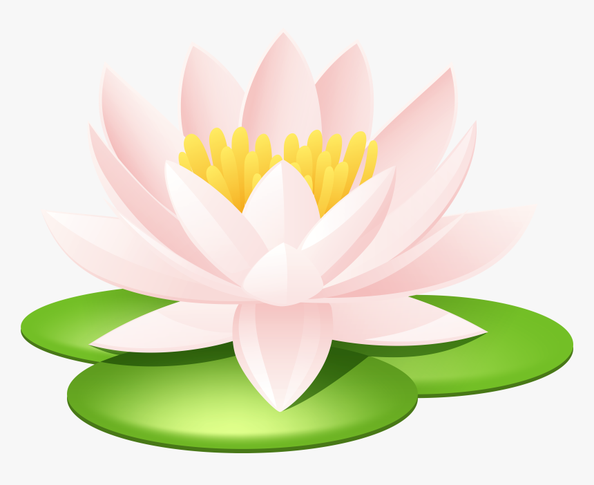 Lily Pond Clip Art Images Download - Clip Art Water Lily, HD Png