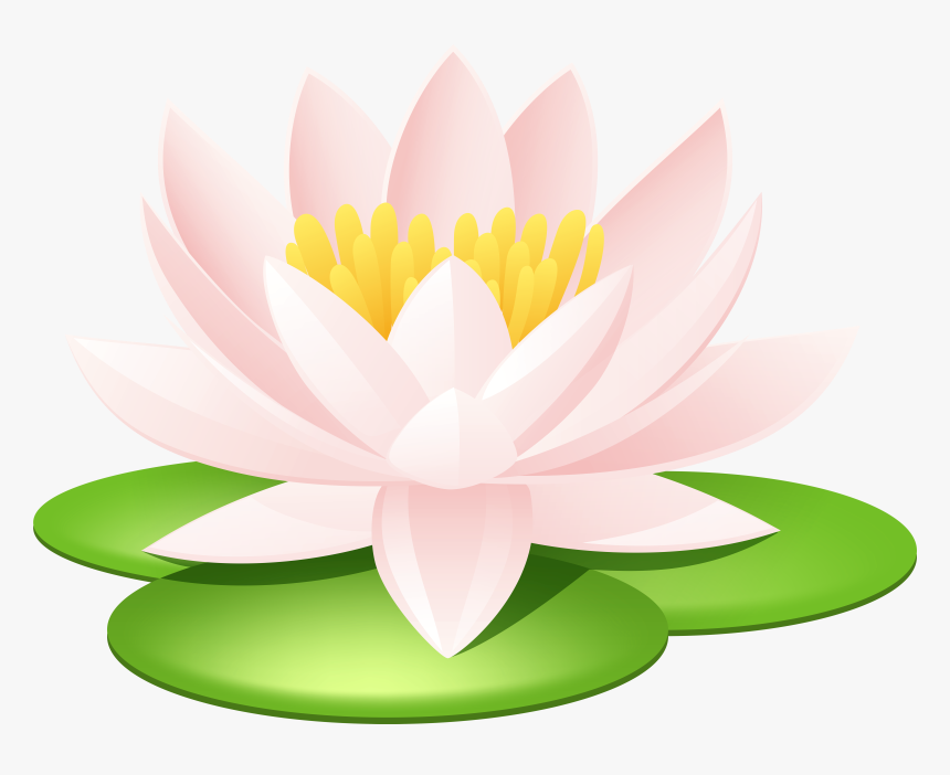 Lily Pond Clip Art Images Download - Clip Art Water Lily, HD Png Download, Free Download