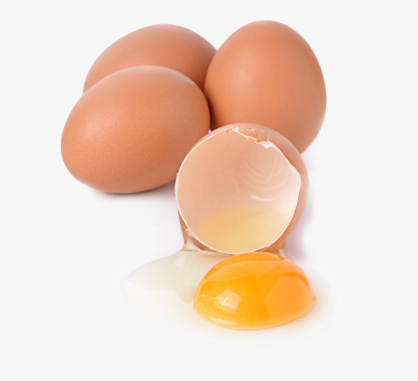 Egg, HD Png Download, Free Download