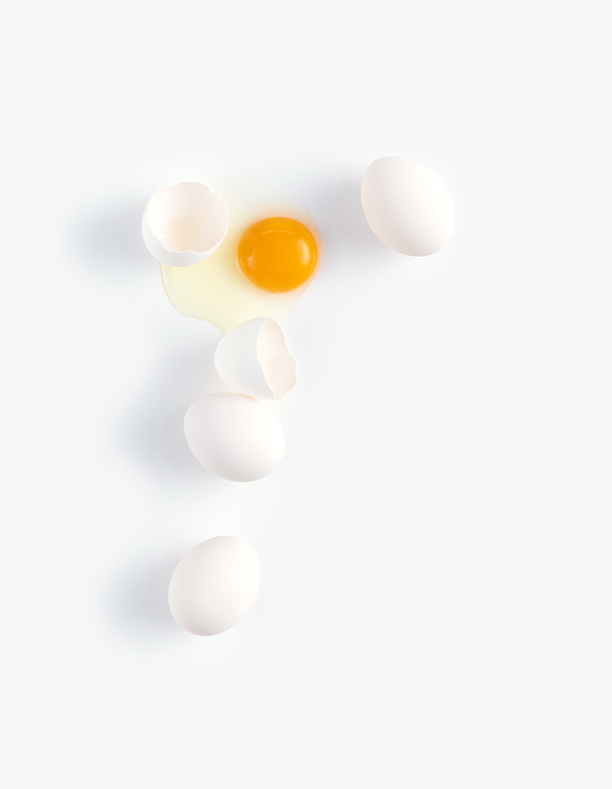 Still Life Photography, HD Png Download, Free Download