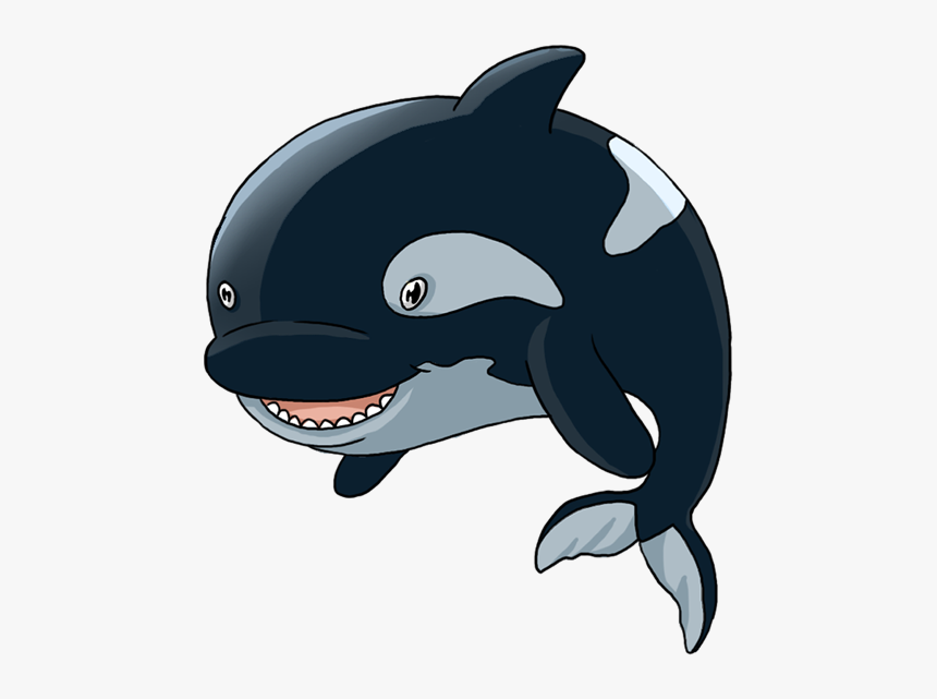 Killer Whale Png, Transparent Png, Free Download