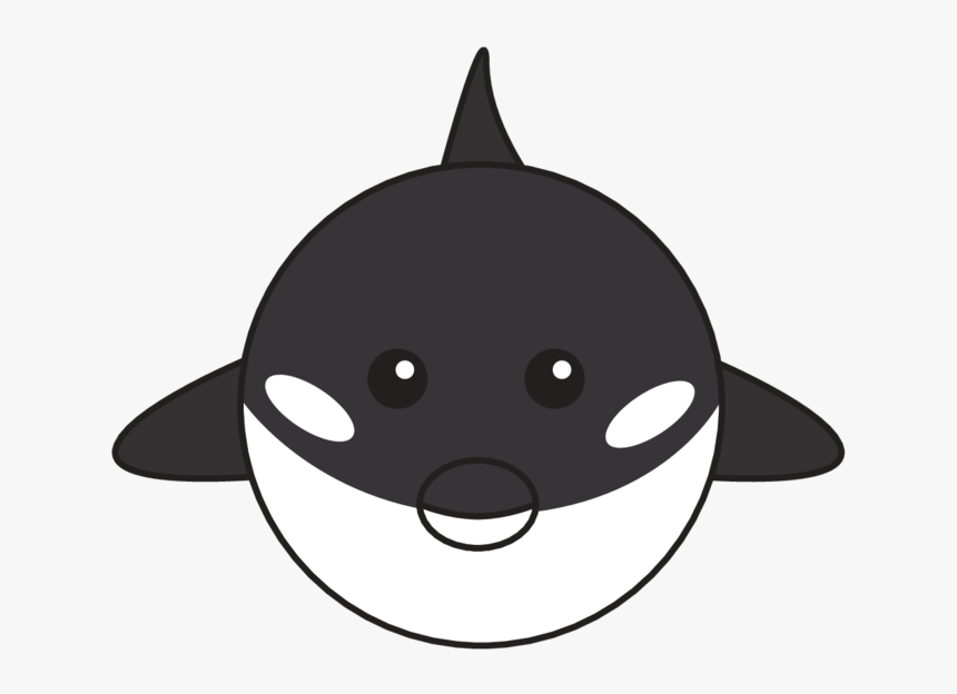 Animaru Killer Whale - Cartoon, HD Png Download, Free Download