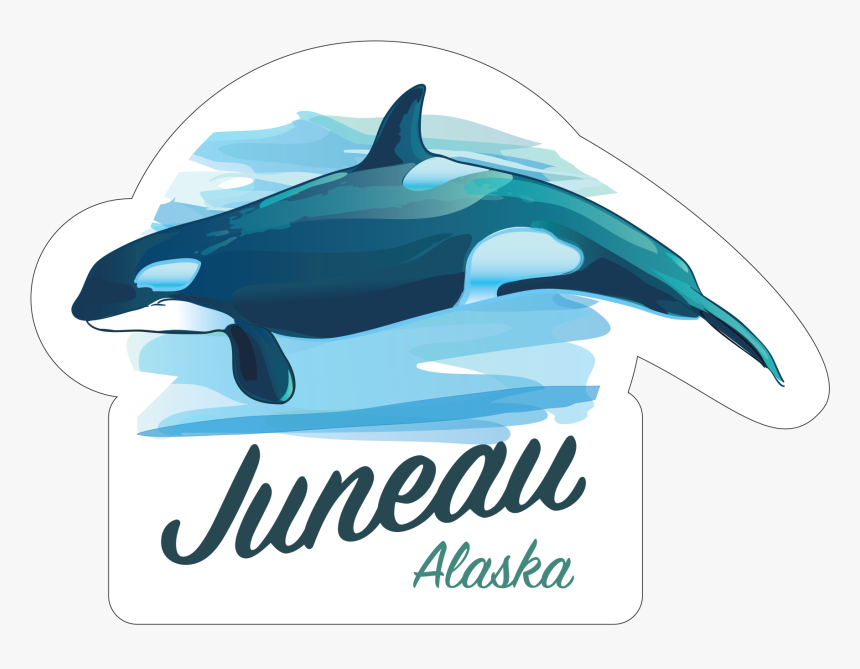 Killer Whale"
 Class="lazyload Lazyload Mirage Featured - Wholphin, HD Png Download, Free Download