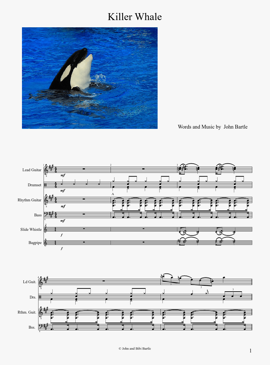 Killer Whales, HD Png Download, Free Download