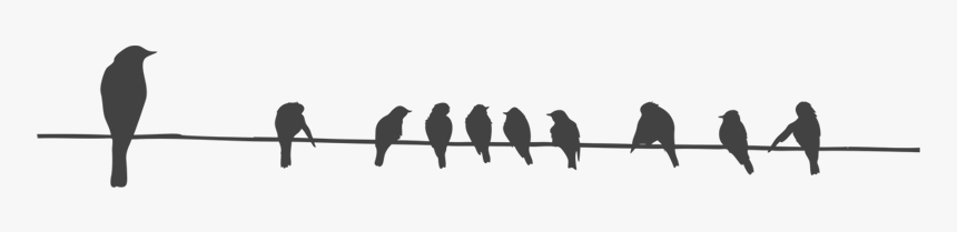 Birds Png Transparent Images - Bird On Line Png, Png Download, Free Download