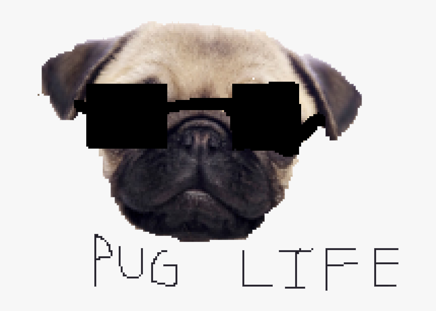 Pug Life Png Clipart - Png Pug Life, Transparent Png, Free Download