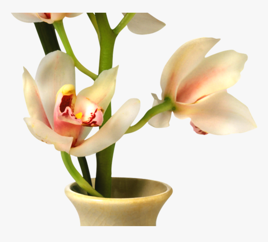 19 Flowers In Vase Png Library Download Huge Freebie - Vase With Flowers Png, Transparent Png, Free Download