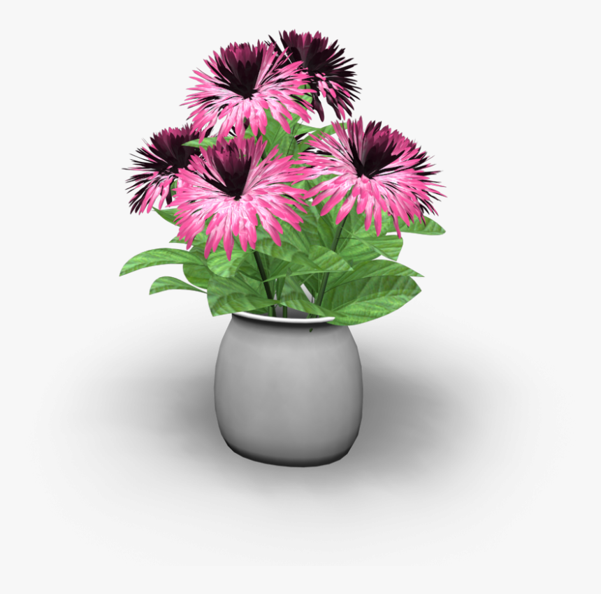 Barberton Daisy, HD Png Download, Free Download