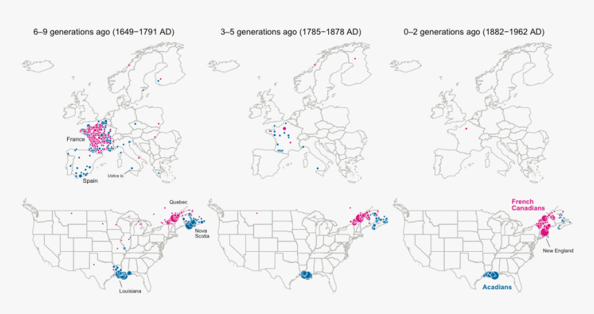 Picture2 - Ancestry Dna Migration Map, HD Png Download, Free Download