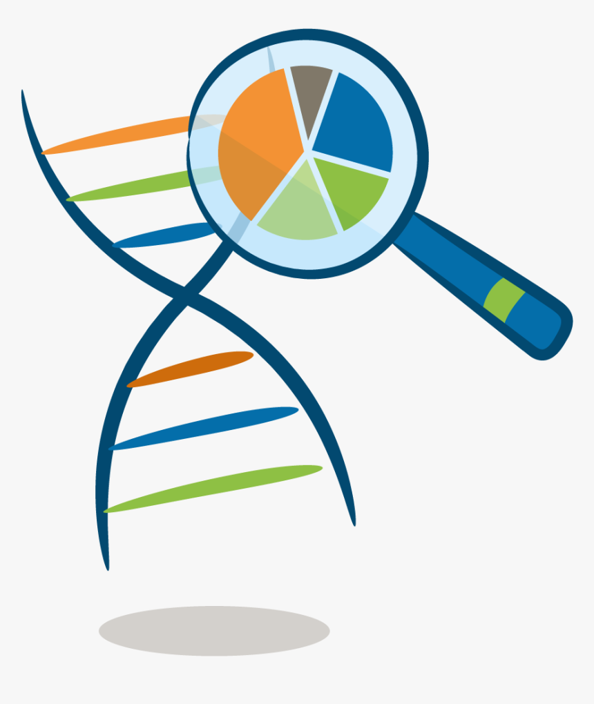 Genetic Test Png, Transparent Png, Free Download