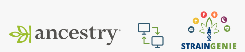 Ancestry.com, HD Png Download, Free Download