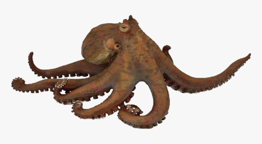 Giant Squid Png Pic - Octopus Papo, Transparent Png, Free Download